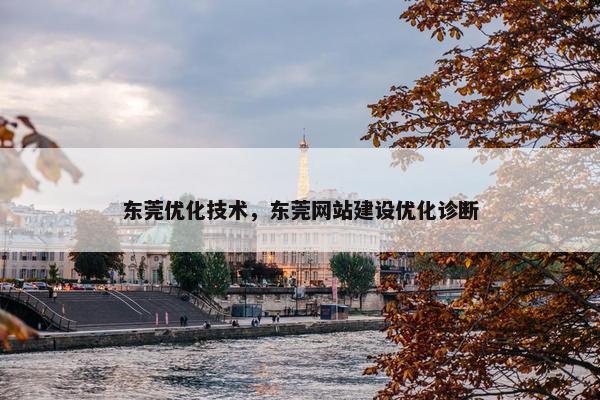 东莞优化技术，东莞网站建设优化诊断
