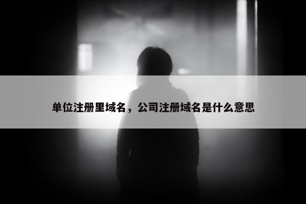 单位注册里域名，公司注册域名是什么意思