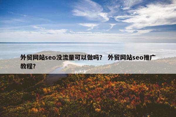 外贸网站seo没流量可以做吗？ 外贸网站seo推广教程？