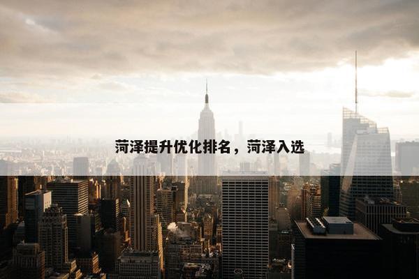 菏泽提升优化排名，菏泽入选