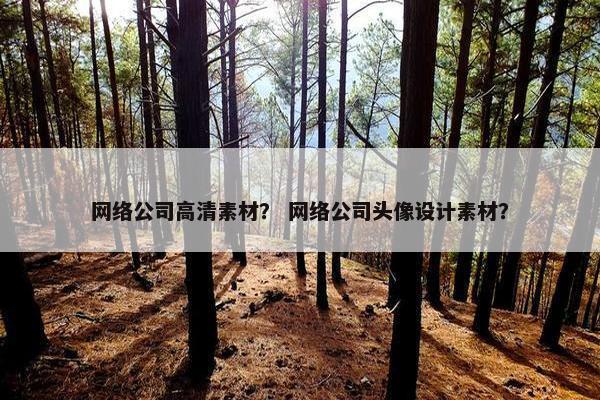 网络公司高清素材？ 网络公司头像设计素材？