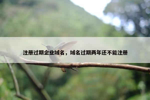 注册过期企业域名，域名过期两年还不能注册