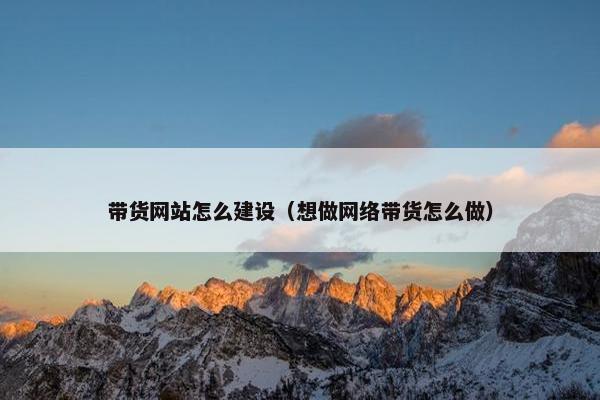 带货网站怎么建设（想做网络带货怎么做）