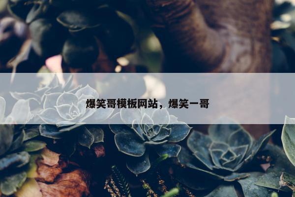 爆笑哥模板网站，爆笑一哥