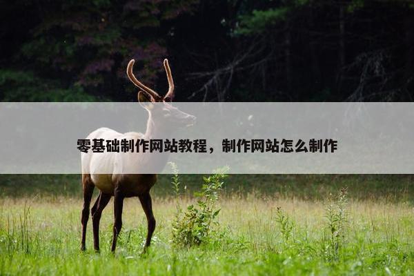 零基础制作网站教程，制作网站怎么制作