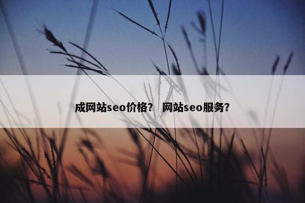 成网站seo价格？ 网站seo服务？