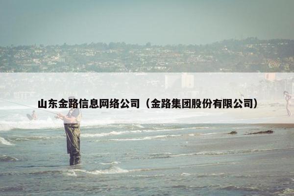 山东金路信息网络公司（金路集团股份有限公司）