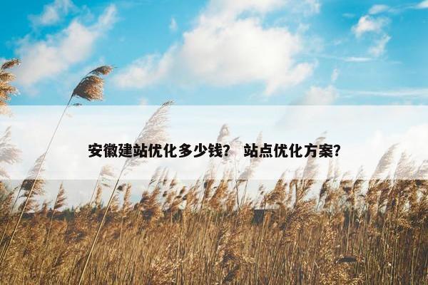安徽建站优化多少钱？ 站点优化方案？