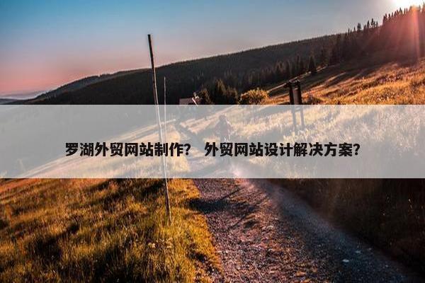 罗湖外贸网站制作？ 外贸网站设计解决方案？