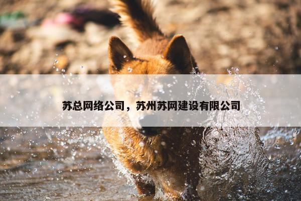 苏总网络公司，苏州苏网建设有限公司