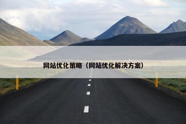 网站优化策略（网站优化解决方案）