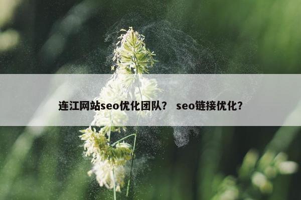 连江网站seo优化团队？ seo链接优化？