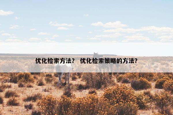 优化检索方法？ 优化检索策略的方法？