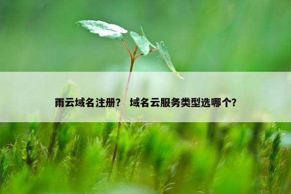 雨云域名注册？ 域名云服务类型选哪个？