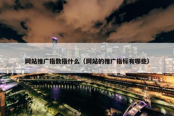 网站推广指数指什么（网站的推广指标有哪些）