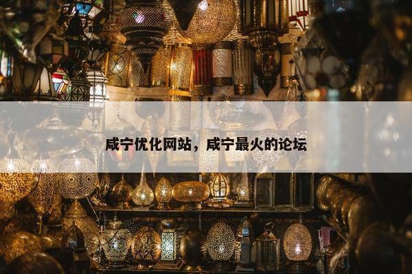 咸宁优化网站，咸宁最火的论坛