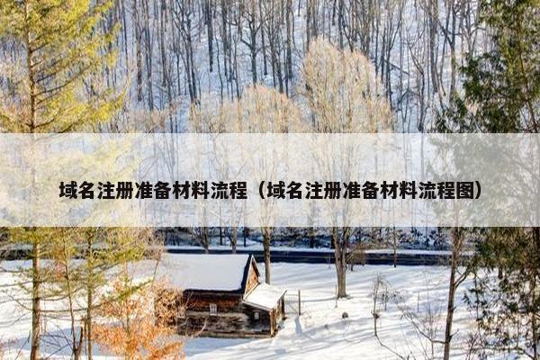 域名注册准备材料流程（域名注册准备材料流程图）