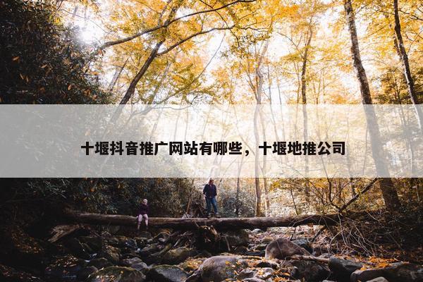 十堰抖音推广网站有哪些，十堰地推公司
