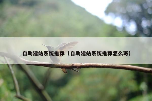 自助建站系统推荐（自助建站系统推荐怎么写）
