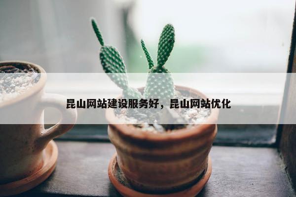 昆山网站建设服务好，昆山网站优化