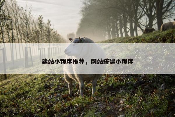 建站小程序推荐，网站搭建小程序