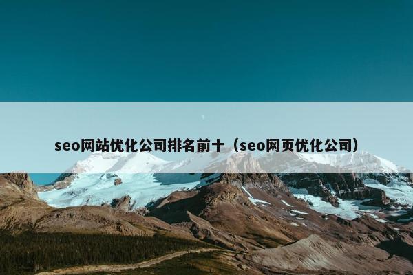 seo网站优化公司排名前十（seo网页优化公司）
