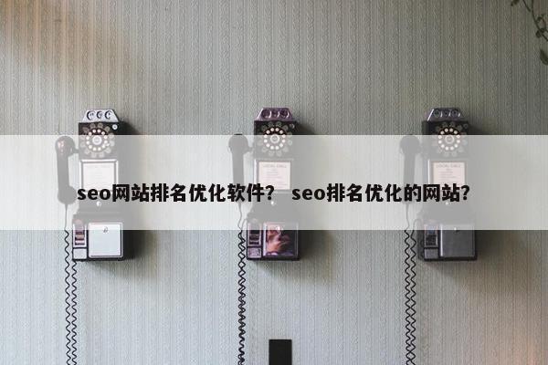 seo网站排名优化软件？ seo排名优化的网站？