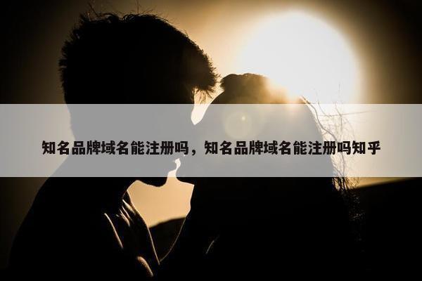 知名品牌域名能注册吗，知名品牌域名能注册吗知乎