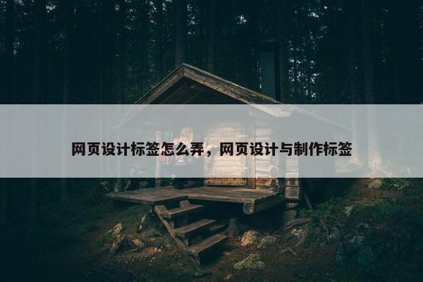 网页设计标签怎么弄，网页设计与制作标签