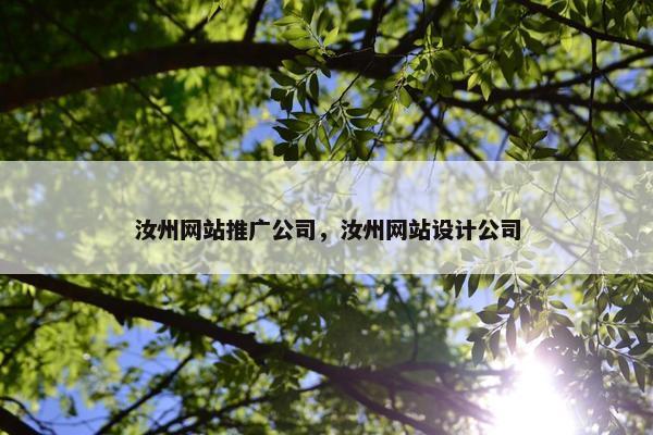 汝州网站推广公司，汝州网站设计公司