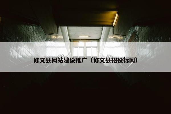 修文县网站建设推广（修文县招投标网）