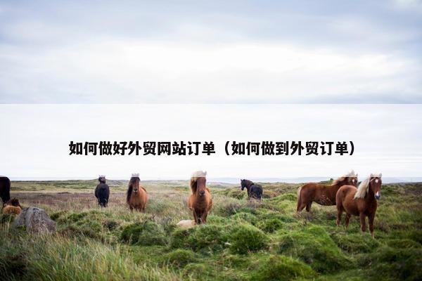 如何做好外贸网站订单（如何做到外贸订单）
