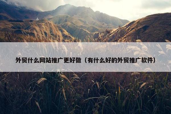 外贸什么网站推广更好做（有什么好的外贸推广软件）
