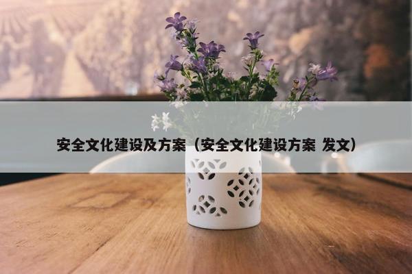 安全文化建设及方案（安全文化建设方案 发文）