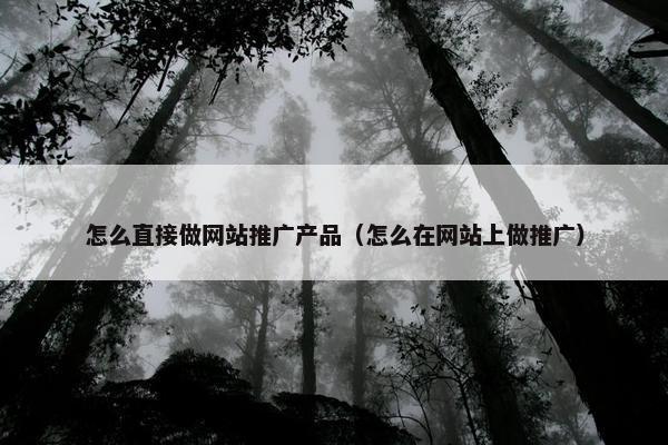 怎么直接做网站推广产品（怎么在网站上做推广）