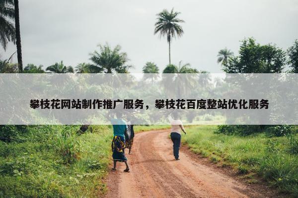 攀枝花网站制作推广服务，攀枝花百度整站优化服务