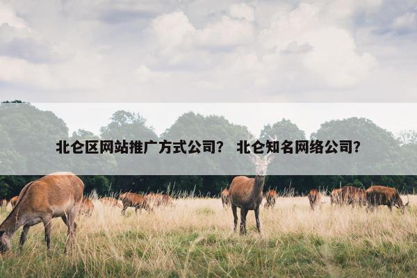 北仑区网站推广方式公司？ 北仑知名网络公司？