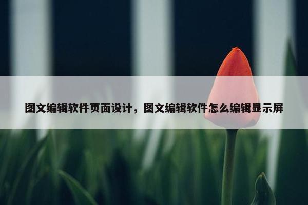 图文编辑软件页面设计，图文编辑软件怎么编辑显示屏