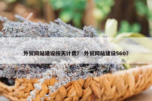外贸网站建设按天计费？ 外贸网站建设560？