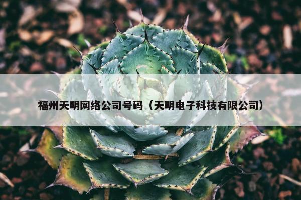 福州天明网络公司号码（天明电子科技有限公司）