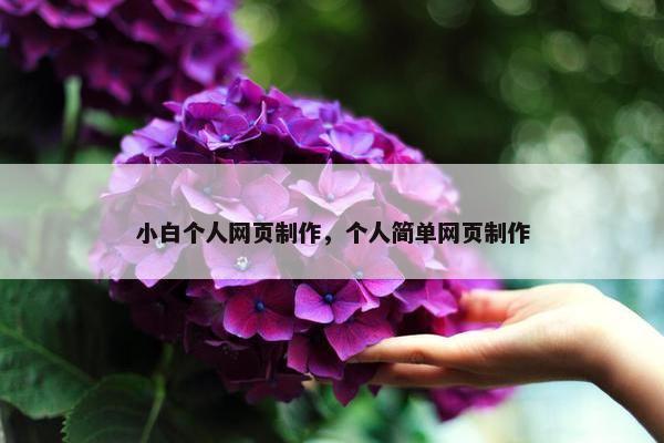 小白个人网页制作，个人简单网页制作