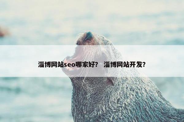 淄博网站seo哪家好？ 淄博网站开发？