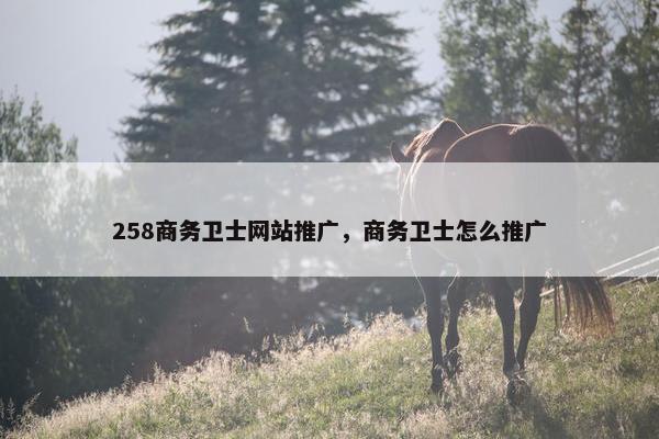 258商务卫士网站推广，商务卫士怎么推广