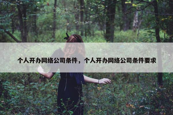 个人开办网络公司条件，个人开办网络公司条件要求