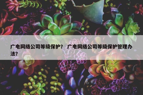 广电网络公司等级保护？ 广电网络公司等级保护管理办法？
