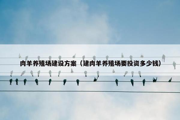 肉羊养殖场建设方案（建肉羊养殖场要投资多少钱）