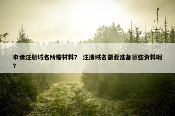 申请注册域名所需材料？ 注册域名需要准备哪些资料呢？