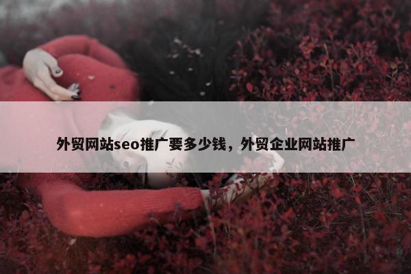 外贸网站seo推广要多少钱，外贸企业网站推广
