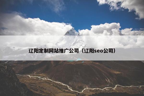 辽阳定制网站推广公司（辽阳seo公司）
