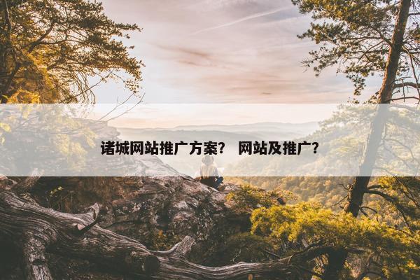诸城网站推广方案？ 网站及推广？